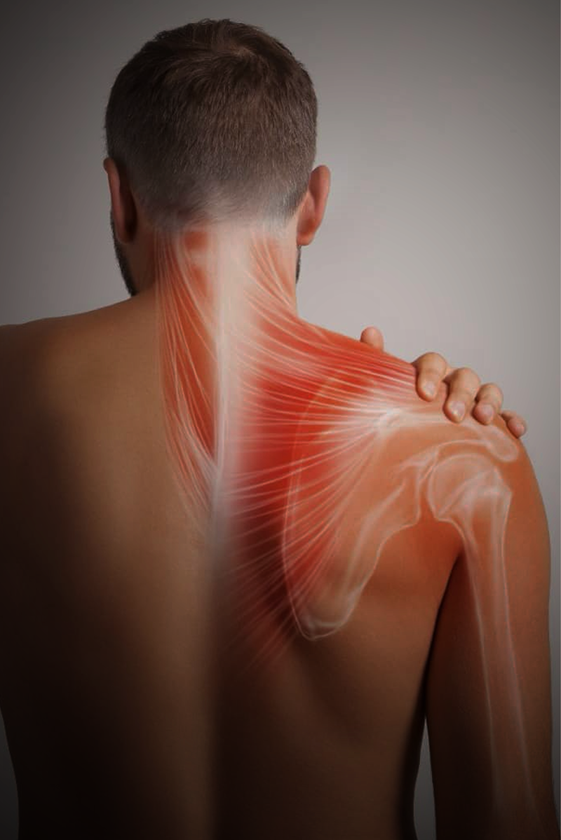 Shoulder Pain Treatments - Protherapy Clinic