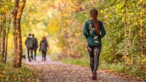 The autumn season is a time of change. The leaves change color, the air gets cooler, and our bodies start to prepare for the winter months. Unfortunately, for many people, autumn also brings an increase in joint pain. Dr. Jeff Hall here at Chattanooga Non-surgical Orthopedics explains some reasons why this happens and what can be done about it.